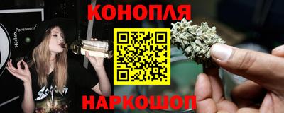 гидропоника Дубна