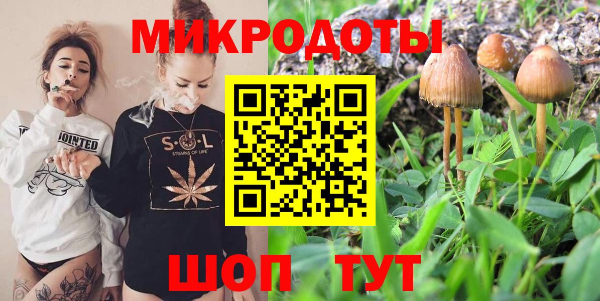 Галлюциногенные грибы прущие грибы  Вход с VPN  Клинцы  Галлюциногенные грибы Psilocybe 